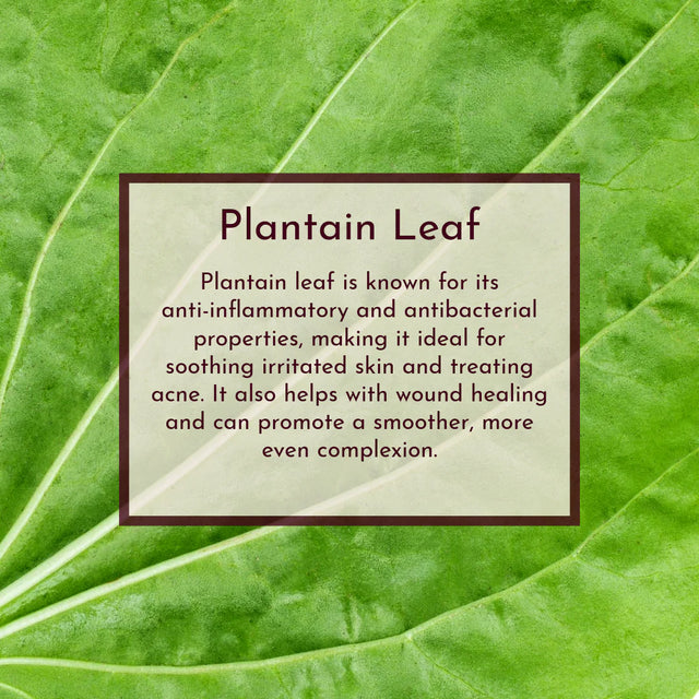 Pasture & Petal - Luminous Leaf ( all skin types)