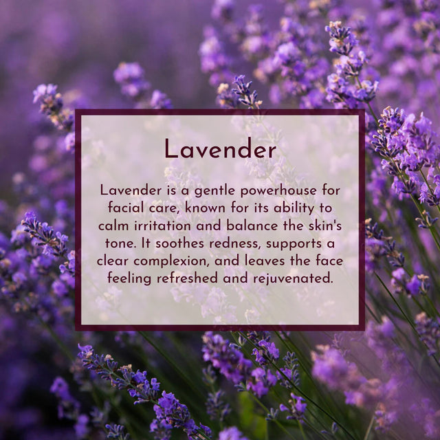 Pasture & Petal - Rose Reverie (for sensitive/all skin types)