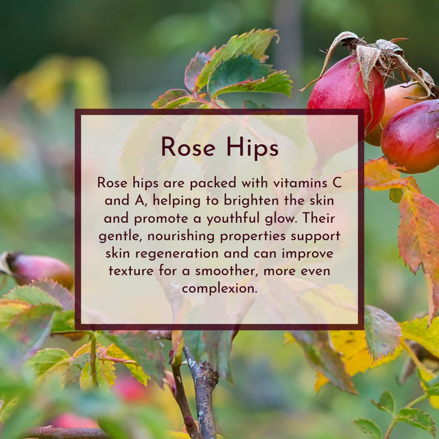 Pasture & Petal - Rose Reverie (for sensitive/all skin types)